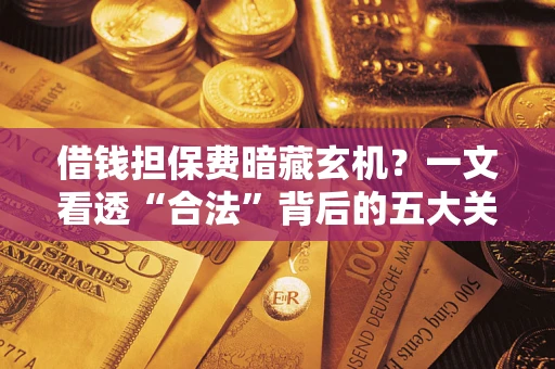 济南借钱担保费暗藏玄机？一文看透“合法”背后的五大关键陷阱