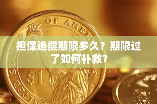 济南担保追偿期限多久？期限过了如何补救？