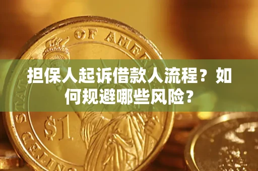 济南担保人起诉借款人流程？如何规避哪些风险？