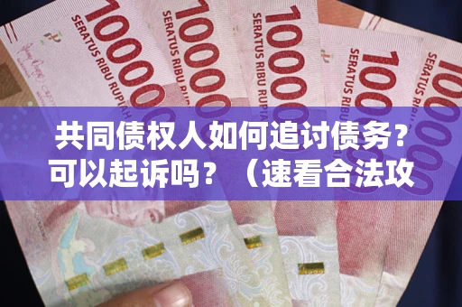济南共同债权人如何追讨债务？可以起诉吗？（速看合法攻略）